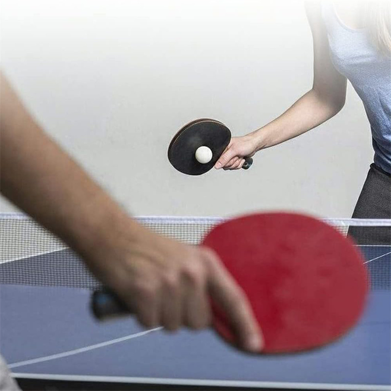 Portable Table Tennis Net Poly - Table Tennis Barrier 评论和价格
