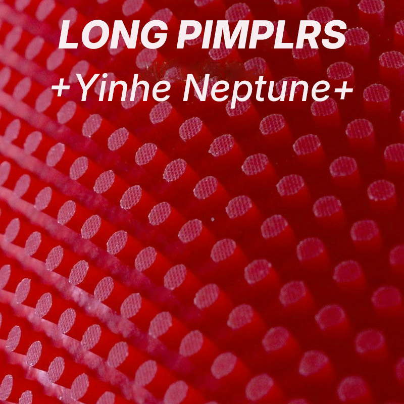 YINHE NEPTUNE Long Pimples Tab - Table Tennis Rubber Anti Spin 评论和价格